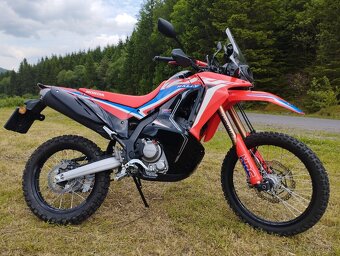 Honda CRF 300 rally - 2