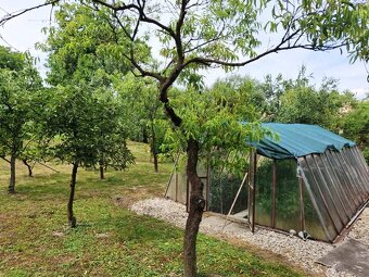 PANICKÉ DRAVCE - RD na pozemku 5400 m2 - 2