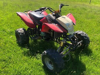 Bashan 250 - 2