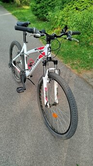 Dámsky bicykel - 2