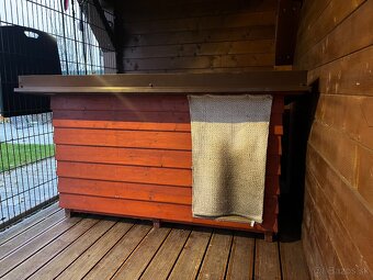 Psia búda XXL de luxe - 2