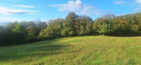 Krásny pozemok 9268 m2, Mníchova Lehota - 2