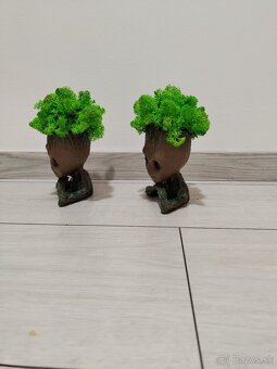 Groot so stabilizovanym machom - 2