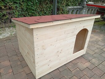 Búda pre psa - 2