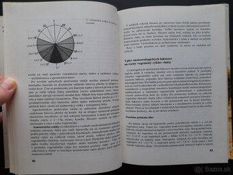 Rez a vedenie viniča - 2