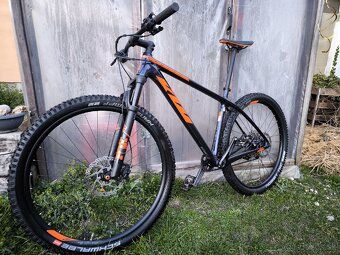 KTM Maroon Elite - 2