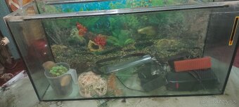 Akvarium - 2