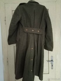 Koprivak belgicko - 2