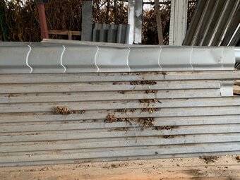 Predám trapezovy plech - 2