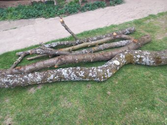 Čerešňové drevo - 2