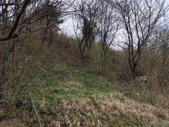 Zahradka s pivnicou - Pod Kalvariou - 2