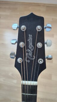 gitara + púzdro a trsátko - 2