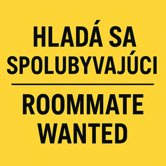 Samostatná izba pre spolubývajúceho || Košice - Staré mesto - 2