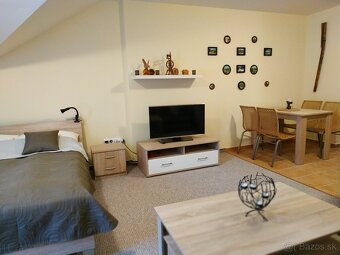 Apartmán 1 izbový byt Hrabovo - 2