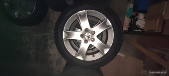 17 palcove disky na peugeot - 2