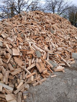 Palivové drevo buk - 2