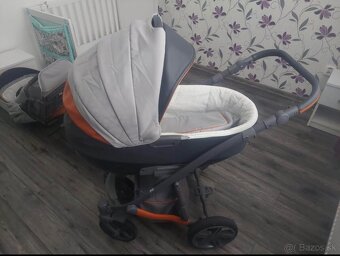 Kočík Camarelo - 2