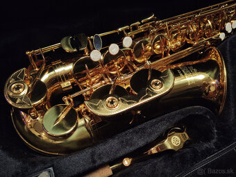 Detský saxofón Roy Benson AS-201 - 2