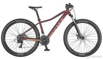 Scott Contessa active - 2