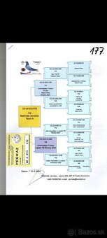 Poštové holuby - 2