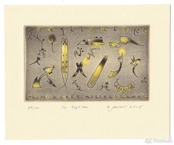 Robert Jančovič: To lighten (lept, mezzotinta) - 2