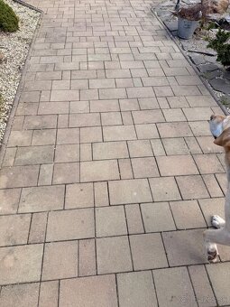 Zámková dlažba - 2