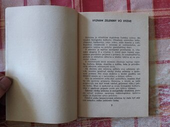 Zelenina na každý deň - Ružena Murgová - 2