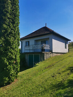 Chata vo viničnej oblasti s marhuľovým sadom - Rezervované - 2