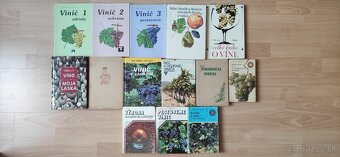 Hrozno, vinič, vínohradníctvo - 2