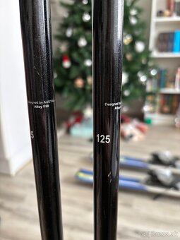 Lyžiarske palice Blizzard - 2