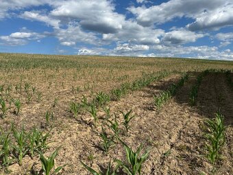 Na predaj krásny slnečný pozemok s výhľadom- Nemšová,5988 m2 - 2