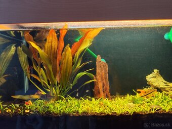 Akvarium Juwel - 2