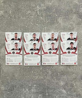 Hokejové kartičky TIPOS EXTRALIGA 2024/2025 base - 2