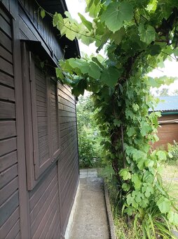 Záhrada s chatkou - 2