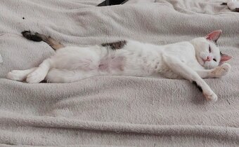 stelesnenie pokoja - 2