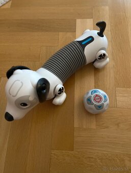 Robo DACKEL YCOO - 2