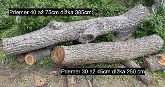 Orechové drevo - guľatina - 2