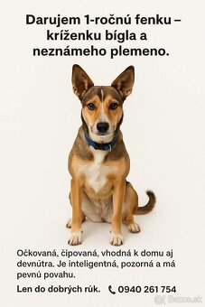 Fenka Mia hľadá nový domov - 2