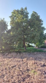 Rodinný dom na predaj s rozsiahlym pozemkom, Dvorniky - 2