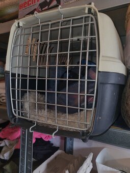 Prepravka pre psíka - 2