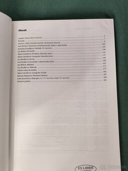 Gotické umenie z košických zbierok - 2