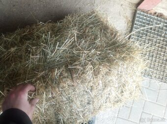 Predám seno/slamu - 2