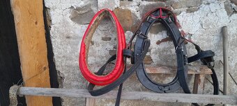 Predám voz aj menší koč - 2