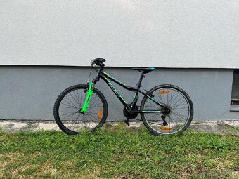 Bicykel author a-matrix - 2