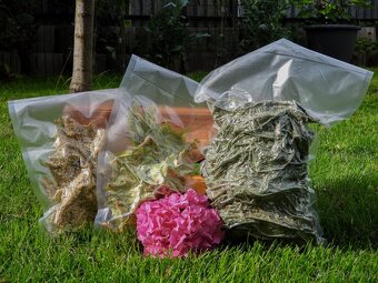 Sušené bylinky - 2