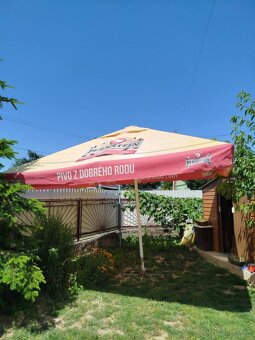 Slnečník - 2