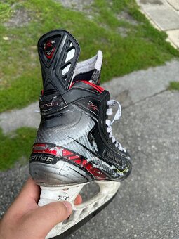 Korcule Bauer Vapor 2x Pro - 2