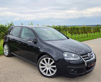 Volkswagen Golf R-Line 1.9 TDI 77KW/105  koní R.V.03/2008 - 2