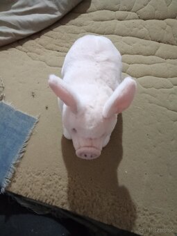 Predám detských plysakov - 2