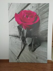 Obraz na plátne - Ruža 150 x 100 cm - 2